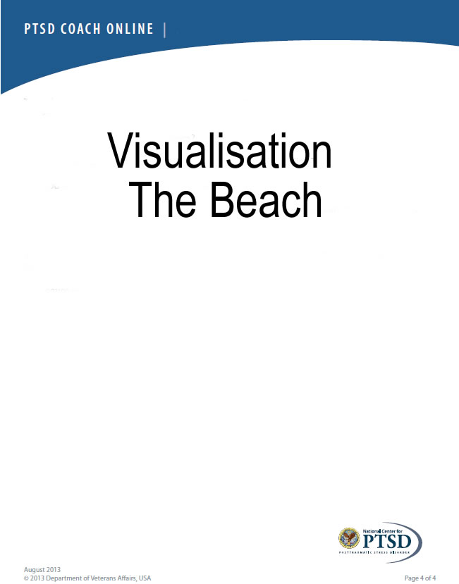 visualization-the-beach-transcript