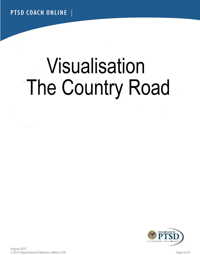 visualization-the-country-road-transcript